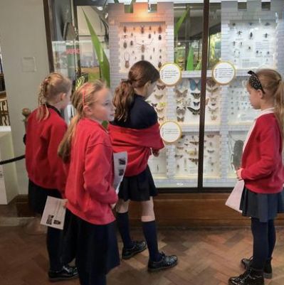 Year 4 Trip to Bolton Museum